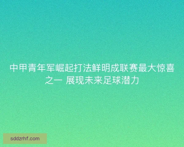 中甲青年军崛起打法鲜明成联赛最大惊喜之一 展现未来足球潜力